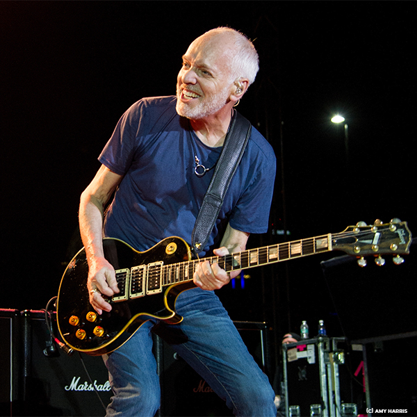 peter-frampton-bild