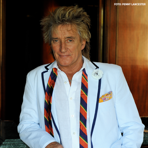 Rod Stewart_Künstlerbild